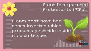 Biopesticides [upl. by Weksler587]