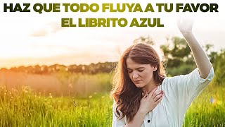 quotHaz que todo fluya a tu favorquot  EL LIBRITO AZUL  AUDIOLIBRO [upl. by Atteras]