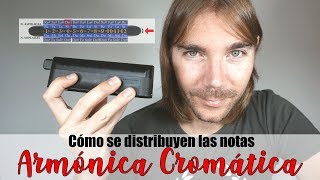 ARMÓNICA CROMÁTICA 👨🏻‍🎓 ¿Cómo se distribuyen las notas ⌨️ TUTORIAL ONLINE [upl. by Anaicul823]