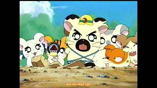 Hamtaro Episode 109 English Sub quotGo For It Super Hamster RoboJoequotハム太郎 第109話「がんばれスーパーハムスターロボジョー」 [upl. by Ortensia]