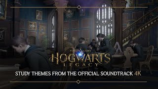 Hogwarts Legacy Soundtrack Study Themes  Potions Class 29 [upl. by Salvucci594]