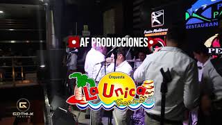 La Unica Tropical Destrozaste mi Alma Gothik Fusion  AF PRODUCCIONES HD [upl. by Burnham328]