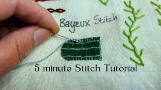 Master the Bayeux Stitch in 5 Minutes [upl. by Ialda]