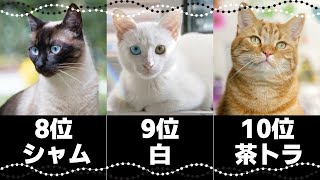 人気の猫柄ランキングトップ10！日本の猫の模様の種類や性格｜飼い主さんの声総まとめ [upl. by Aran]