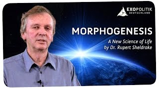 Rupert Sheldrake Morphogenesis  A New Science of Life [upl. by Anivlac498]