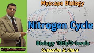 Nitrogen Cycle  10th  SSCII  Olevels  Urdu amp Hindi  Myscape Biology [upl. by Huntingdon]