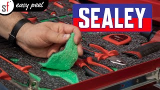 The EASIEST WAY to organise your Sealey tools  Hand Tool Storage  Shadow Foam Easy Peel [upl. by Calysta]