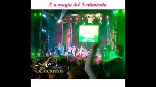 AMORCITO DE MI VIDA CONCIERTO DÚO ENCANTOS LA MAGIA DEL SENTIMIENTO [upl. by Dorrahs]