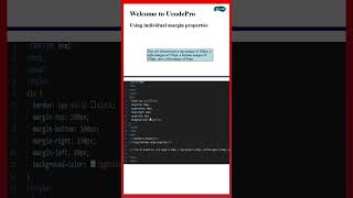 Margin Properties in CSS [upl. by Noxas]