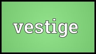 Vestige Meaning [upl. by Sanfo982]