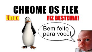 Chrome OS Flex  Fiz besteira [upl. by Shelley]