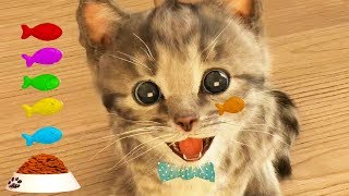 Play Fun Pet Care Kids Game Little Kitten My Favorite Cat  Fun Cute Kitten For Children amp Toddlers [upl. by Tterej]