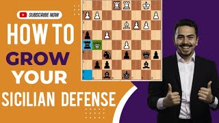 Sicilian defense Paulsen Variation [upl. by Nikolia317]