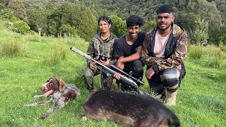 Afternoon Fallow Hunt Whanganui Three deer down [upl. by Erbma]