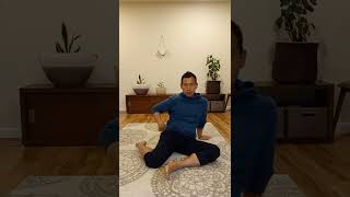 10 Day Hip Mobility Challenge Day 2  Feldenkrais Style [upl. by Eniron]