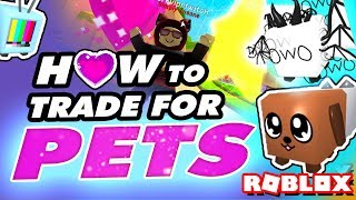 Best Ways to Trade Pets for Bubble Gum Simulator [upl. by Johannes]