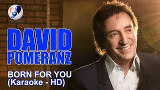 David Pomeranz  Born For You  Minus One  Lyrics  Karaoke [upl. by Castora759]