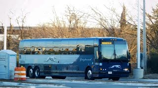 Greyhound Bus Lines Bus Observations January 29 2017  Baltimore Terminal [upl. by Evad]