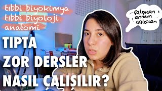 TIP 1 SINIFTA DERSLERE NASIL ÇALIŞILMALI  intörn doktordan tavsiyeler [upl. by Kcirnek]