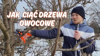 Wprowadzenie do cięcia drzew owocowych Jak ciąć drzewa owocowe [upl. by Ahsenre460]