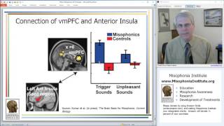 What is Misophonia 2017 Misophonia Association Conference [upl. by Aciruam962]