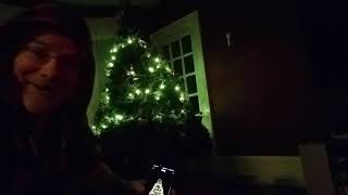 Coolest lights Ever Review Kurt Adler Twinkly LED Programmable Christmas Tree Lights [upl. by Bernarr]