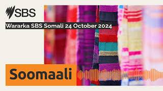 Wararka SBS Somali 24 October 2024  SBS Somali  SBS Afsomali [upl. by Calder]