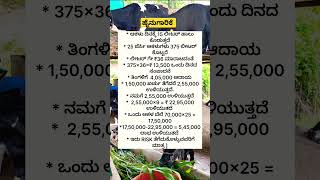 Life 👍 cowfarm dairyfarming hainugarikeinformationinkannada dairyfarminginkannada [upl. by High]