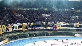 hellas verona vs napoli curva sud universita del tifo [upl. by Oilenroc]