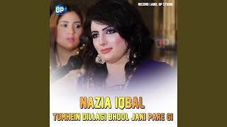 Tumhein Dillagi Bhool Jani Pare Gi [upl. by Irma825]