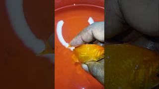 Panasakaya kadhalu viral viralvideo ytshorts love youtubeshorts food fish trending [upl. by Eirellav]