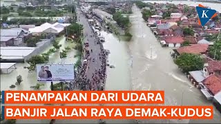 Pantauan dari Udara Jalan Raya DemakKudus Terendam Banjir Pasca Jebolnya Sungai Wulan [upl. by Hara775]