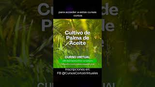 Cursos Cortos Virtuales SENA Sofia Plus shortsvideo [upl. by Nalad]