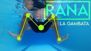 Corso di Nuoto  Lezione 12  RANA La gambata GIANNI BARBERINO [upl. by Zackariah741]