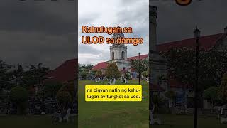 Kahulugan sa ulod sa damgo ulod kahulugansaulodsadamgo nagdamgougulod uod nanaginipngoud [upl. by Cirre]