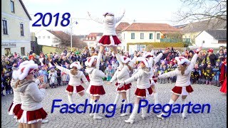 Fasching in Pregarten 2018 [upl. by Eluj]