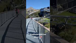 Greifenbrücke am Ahorn mayrhofen zillertal brücke [upl. by Milla]