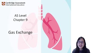 Chapter 9  Gas Exchange  Cambridge ALevel 9700 Biology [upl. by Tolmach]