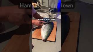 Mastering Hamachi in 5 Minutes The Ultimate Guide [upl. by Ibor]