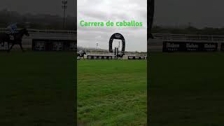 Carrera de caballos [upl. by Seabury]