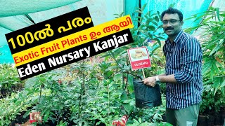 100 Types Variety Exotic Fruit Plants Here  Eden Nursery Kanjar  Thodupuzha  Village Vlogs [upl. by Chemush]