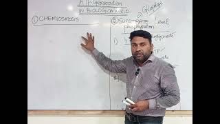 ATP SYNTHESIS SUBSTRATE LEVEL PHOSPHORYLATION VS CHEMIOSMOSIS [upl. by Redmer]