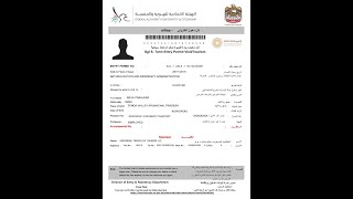 How to get your UAE Visa within 11 minutes only [upl. by Deanne609]