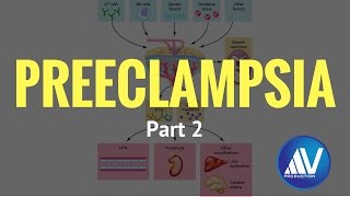 Preeclampsia Part II Pathophysiology [upl. by Sura563]