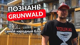 Аренда квартиры в Познани Какой район выбрать Grunwald [upl. by Nylecaj]