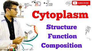 Cytoplasm  Structure  Composition  Function [upl. by Hamlin]