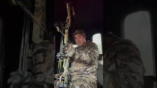 Bow Hunting Decisions archery deerhunting bowhunting letemgoletemgrow [upl. by Htebizile]