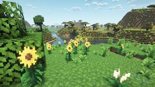 Minecraft  Pixel Perfection Texture Pack  Showcase [upl. by Niwrehs]