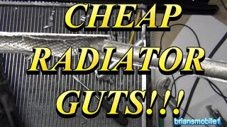 CHEAP RADIATOR GUTS [upl. by Llerdnek456]