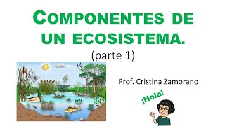 Componentes de un ecosistema Parte 1 Concepto Biotopo y Biocenosis [upl. by Ri802]